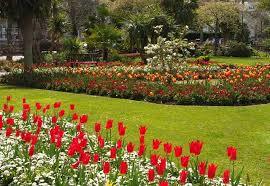 Royal Avenue Gardens
