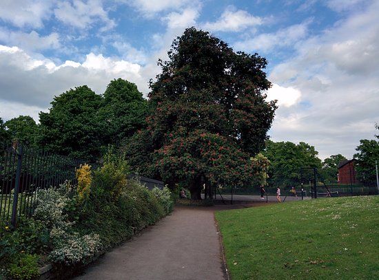 Cale Green Park