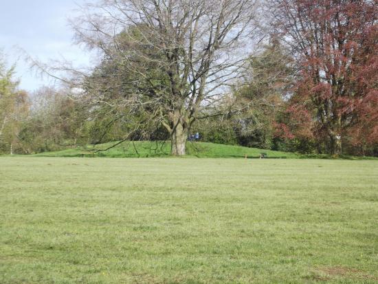 Deddington Castle