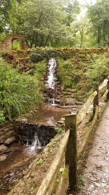 Yeovil Country Park