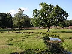 New Park Events Ltd