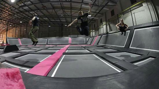 Freedog Urban Activity Centres