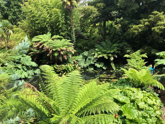 The Lost Gardens of Heligan