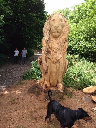 Banstead Woods