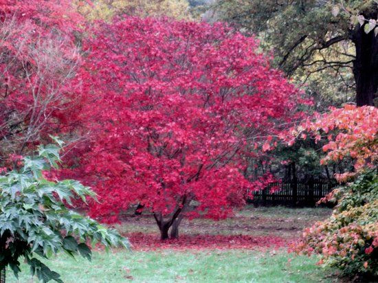 Harcourt Arboretum